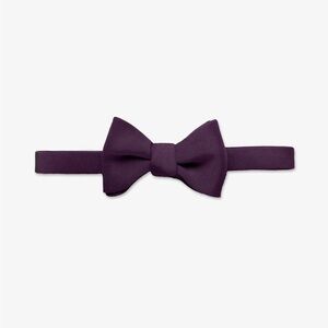 Birdy Grey Daniel Bow Tie in Plum (3)